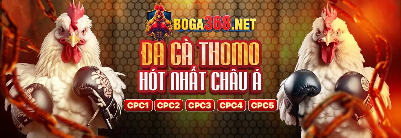 Trải nghiệm sòng bạc trực tiếp với dealer người thật tại VN88 Casino