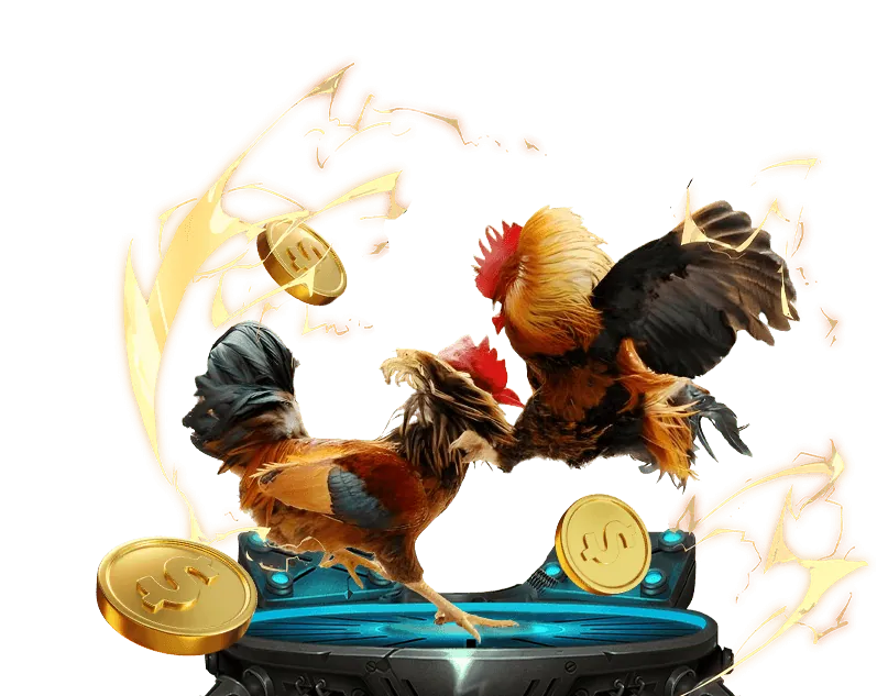 Khuyến mãi thể thao và casino VN88